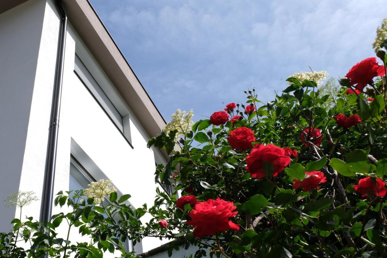 Apartment Le Rose Di Marianne - Sud Vahrn Exterior foto